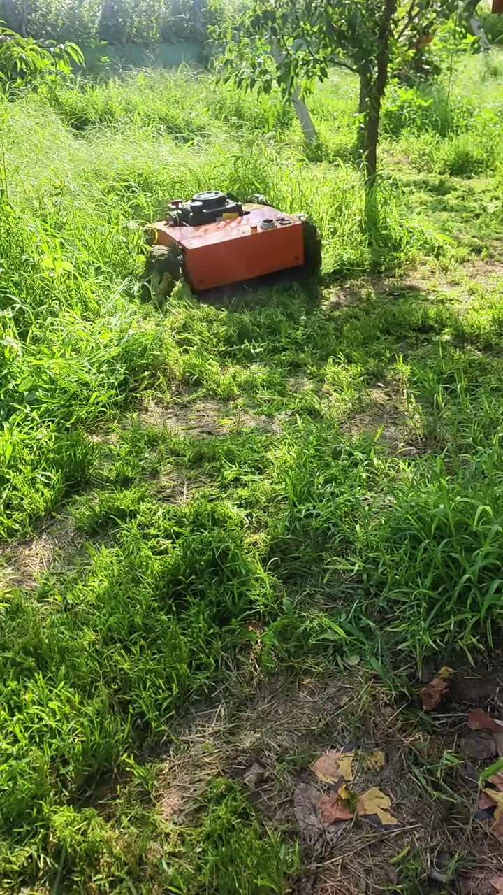 Compact orange remote mower working between orchard trees