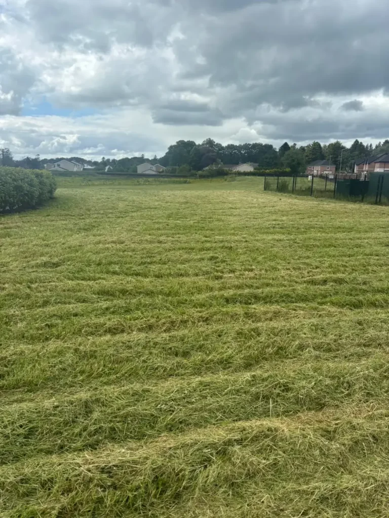 Large open commercial grass area in Northern Ireland after mowing