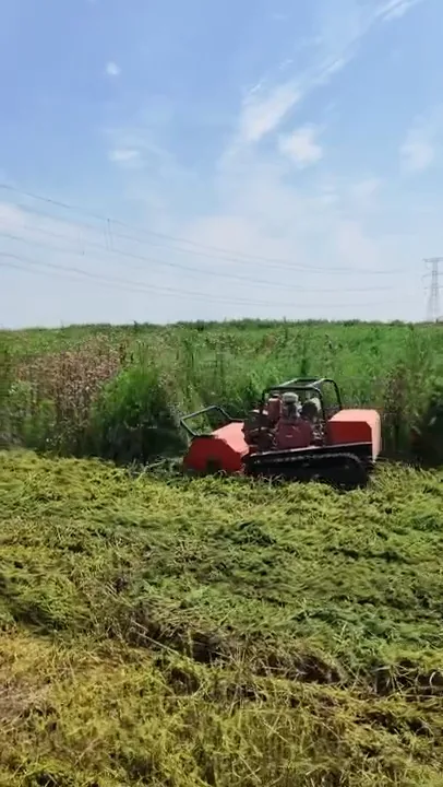 Tracked remote mower advancing along the boundary between cut and tall vegetation