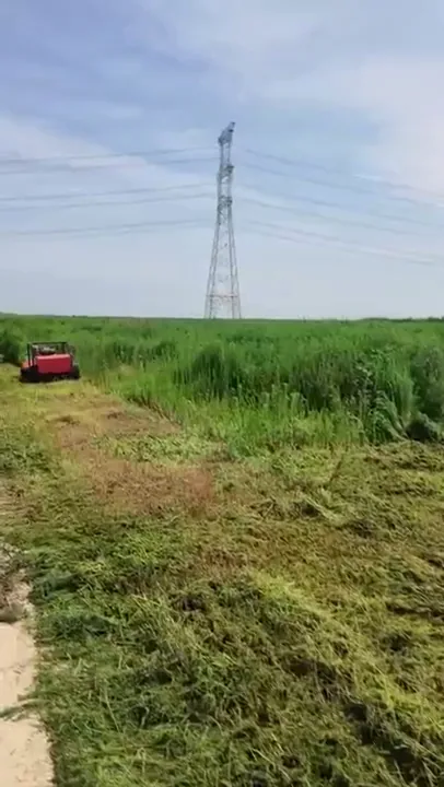 Remote mower cutting a vegetation corridor beside tall growth in an open field