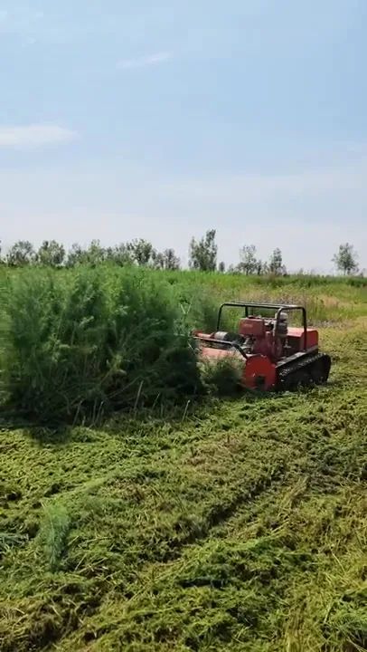 Tracked remote mower cutting a strip through tall field vegetation